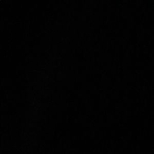 Meet your Posher, Daisy